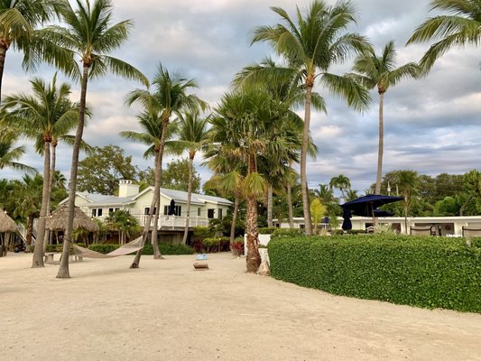 Coconut Palm Inn by null