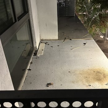 10X Miami River - Dog feces - Apartments Near Me - Miami, Florida 10X Miami River - Dog feces - Apartments Near Me - Miami, Florida