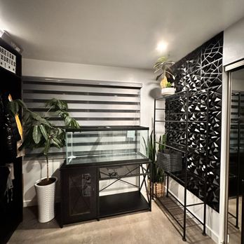 Aquawerks - Aquarium Services Near Me Aquawerks - Aquarium Services Near Me