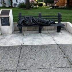Homeless Jesus - Homeless Jesus by Timothy P. Schmalz (2018)