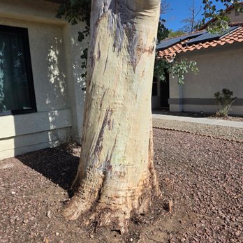 E&C Lawn Management - After - Lawn Services Near Me - Las Vegas, Nevada E&C Lawn Management - After - Lawn Services Near Me - Las Vegas, Nevada