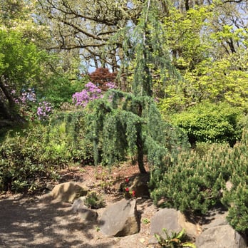 Hendricks Park - We come here a few times a year to walk through, and take pictures and just gaze at the view. - Parks Near Me - Eugene, Oregon