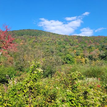 Thundering Brook Falls - Foliage is starting - Hiking Near Me Thundering Brook Falls - Foliage is starting - Hiking Near Me