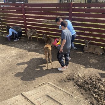 HOCHATOWN RESCUE CENTER AND PETTING ZOO Updated April 2025 226