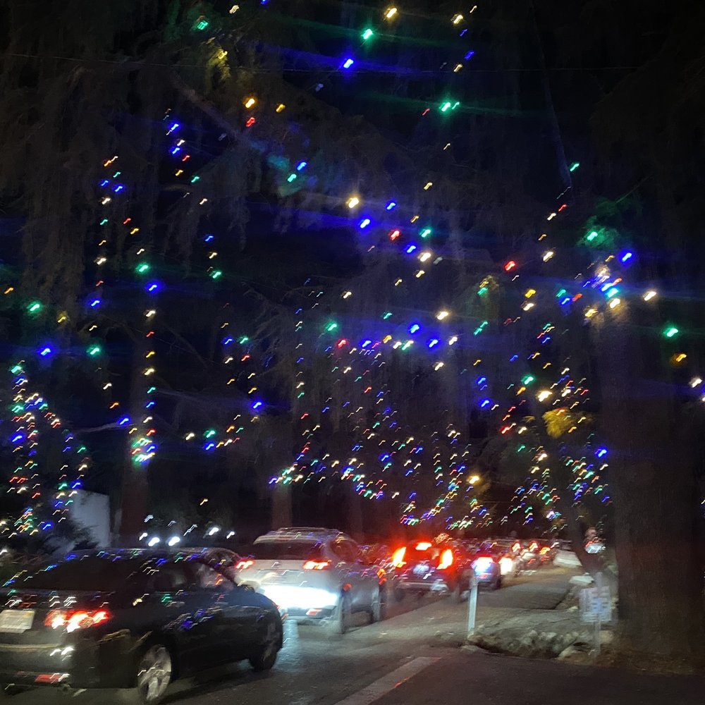 Christmas Tree Lane - It's on - Christmas Trees Near Me - Altadena, California Christmas Tree Lane - It's on - Christmas Trees Near Me - Altadena, California