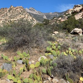 White Rock Loop - Hiking Near Me - Las Vegas, Nevada