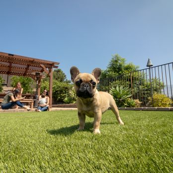 US Turf - Artificial Turf Near Me - Riverside, California US Turf - Artificial Turf Near Me - Riverside, California