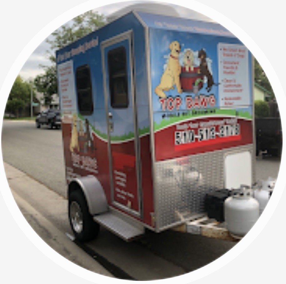 TOP DAWG MOBILE PET GROOM Updated August 2024 234 Pony Trl, Mount