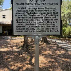 Charleston Tea Garden