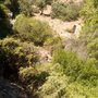 Photo of Santuario de la Naturaleza del Arrayán