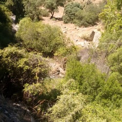 Santuario de la Naturaleza del Arrayán