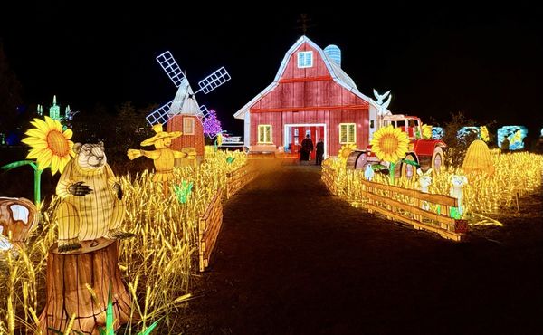 Four Mile Historic Park by null