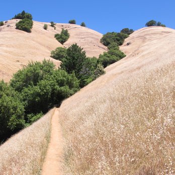 Matt Davis Trail - Parks Near Me - Stinson Beach, California Matt Davis Trail - Parks Near Me - Stinson Beach, California