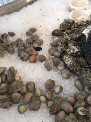 Gus & Co. Seafood Market by null