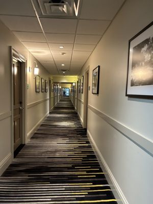 The White House Hotel by null