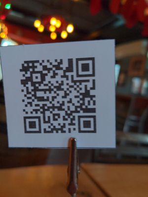 The Silver Iguana by null