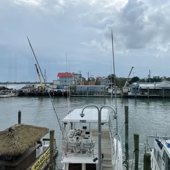 The Shark on the Harbor - Bay view - Seafood Near Me - Ocean City, Maryland