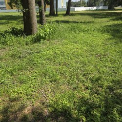 Wildwood RV Village