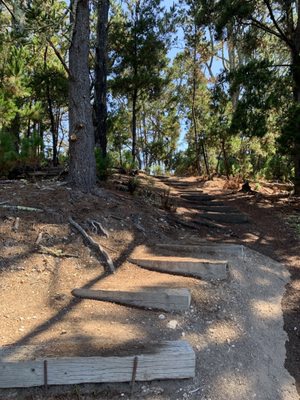 JACKS PEAK COUNTY PARK Updated July 2024 172 Photos & 60 Reviews