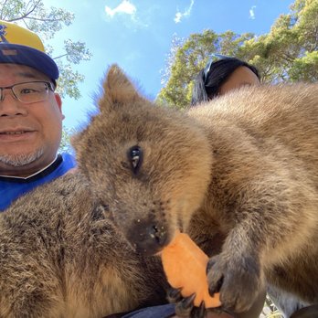 Featherdale Wildlife Park - Parks Near Me - Doonside, NSW Featherdale Wildlife Park - Parks Near Me - Doonside, NSW