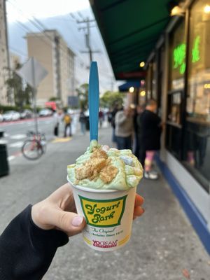 Yogurt Park by null