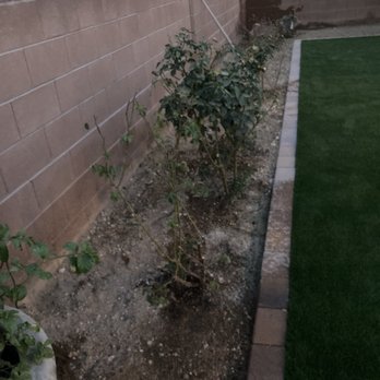 Nevada Turf Installers - Artificial Turf Near Me - Las Vegas, Nevada Nevada Turf Installers - Artificial Turf Near Me - Las Vegas, Nevada