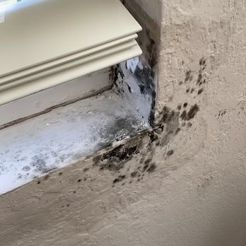 DiBlasi Restoration - mold coming through walls - Damage Restoration Near Me