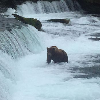 Brooks Lodge Katmai National Park - Parks Near Me - Anchorage, Alaska Brooks Lodge Katmai National Park - Parks Near Me - Anchorage, Alaska