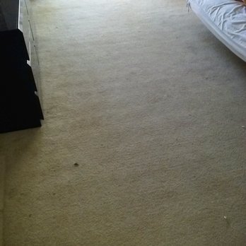 Dr. Steemer - Home Cleaning Near Me Dr. Steemer - Home Cleaning Near Me