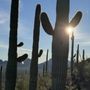 Photo of Brown Mountain Trailhead