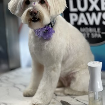 Luxe Paws Mobile Pet Spa - Pet Groomers Near Me Luxe Paws Mobile Pet Spa - Pet Groomers Near Me