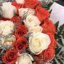 Photo of The Prestigious Rose