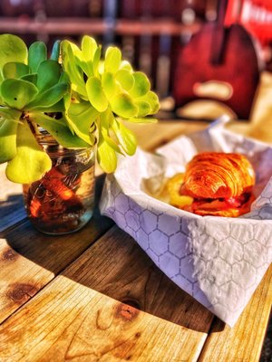 The Backyard by null