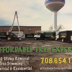 Affordable Tree Experts