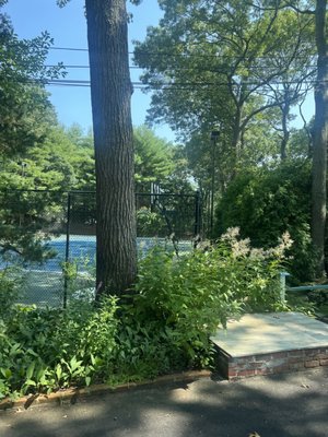 Hamptons Vacation Inn by null