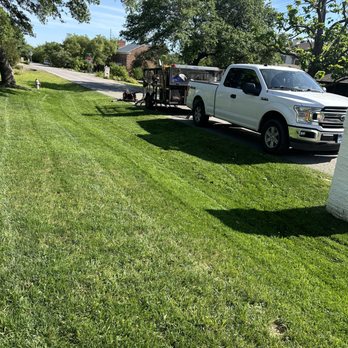Hugo Grass - Perfect cuts - Lawn Services Near Me - Austin, Texas
