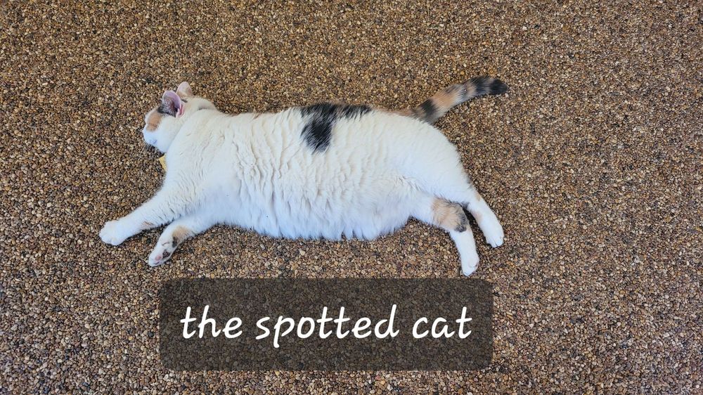 Spotted Cat Winery - vineyard in Greenville, ME