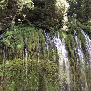 Mossbrae Falls - Access Restricted - Hiking Near Me