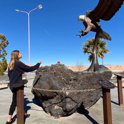 Barstow Centennial Park - The eagle