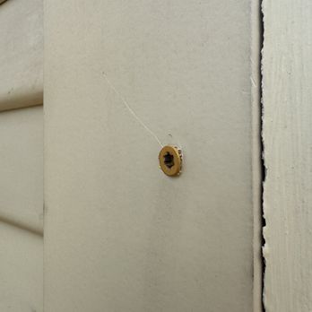 OC Handyman - Under torque wood screw - Handyman Near Me - Lake Forest, California