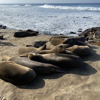 La Jolla Cove - Parks Near Me - La Jolla, California