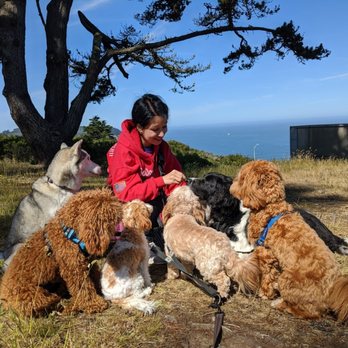 Dog Walk SF - Dog Walkers Near Me Dog Walk SF - Dog Walkers Near Me