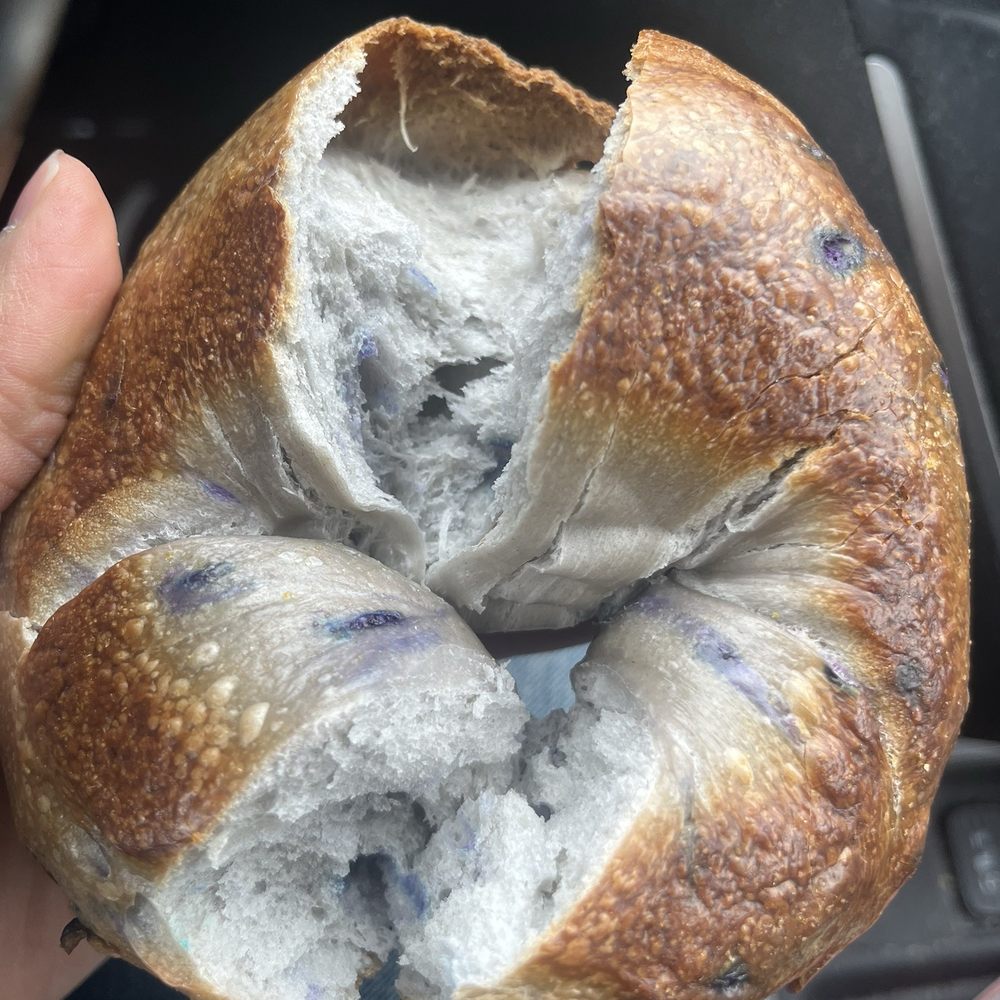 Blueberry Bagel