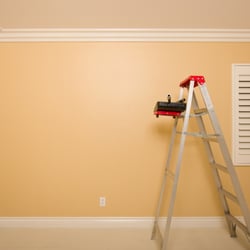 Pete's Pro Painters - We go hard in the paint!