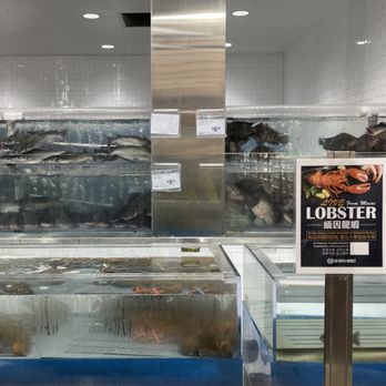 99 Ranch Market - Tanks of live fish - International Grocery Near Me - Austin, Texas