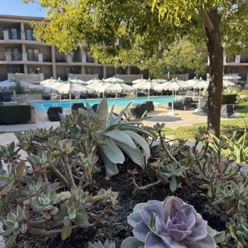 The Langham Huntington, Pasadena - Hotels Near Me - Pasadena, California