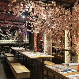 WAGAMAMA - Updated February 2026 - 1669 Photos & 1254 Reviews