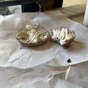 Lamplighter Trading - Gonna-raisin bagel - Coffee & Tea Near Me - Mystic, Connecticut