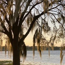 Lake Wailes Park
