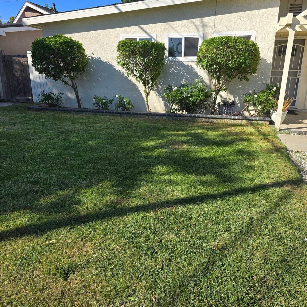 Jesus Lawn Maintenance - After - Lawn Services Near Me - Bellflower, California